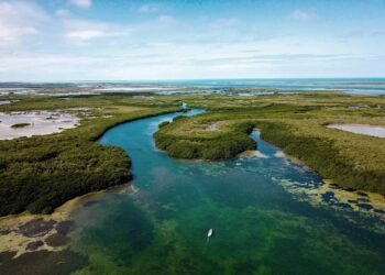 Bacalar refuerza investigación de la laguna con renovación de convenio internacional