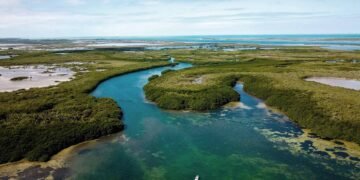 Bacalar refuerza investigación de la laguna con renovación de convenio internacional