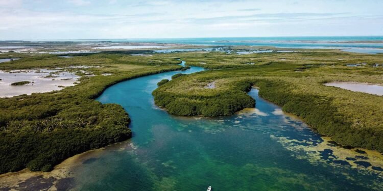 Bacalar refuerza investigación de la laguna con renovación de convenio internacional