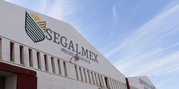 Opacidad y antecedentes: Sales Up busca contratos pese a vínculo en Segalmex