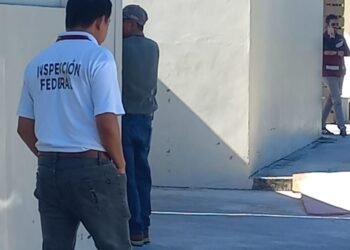 TikTok exhibe presunto abandono de delfines en Cancún; habría pasado un año