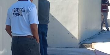 TikTok exhibe presunto abandono de delfines en Cancún; habría pasado un año