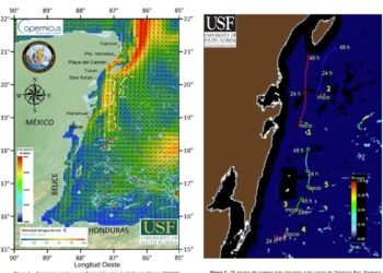 IA arroja luz sobre la enorme mancha de sargazo que se dirige a las playas del Caribe