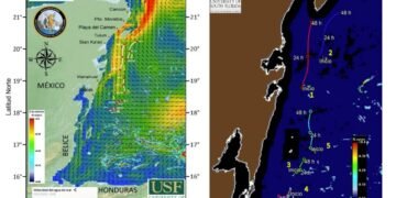 IA arroja luz sobre la enorme mancha de sargazo que se dirige a las playas del Caribe