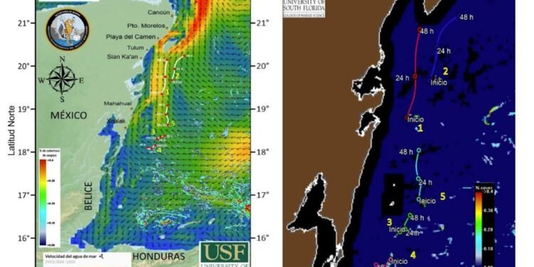 IA arroja luz sobre la enorme mancha de sargazo que se dirige a las playas del Caribe