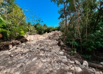 Se nubló el “Perfect Day”: Profepa frena proyecto en la Costa Maya de Royal Caribbean