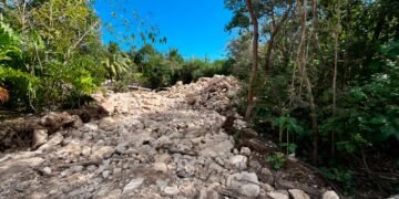 Se nubló el “Perfect Day”: Profepa frena proyecto en la Costa Maya de Royal Caribbean