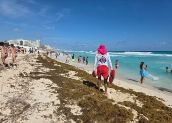 ¡Sargazo a la vista! Flotan más de 6,400 toneladas frente al Caribe mexicano