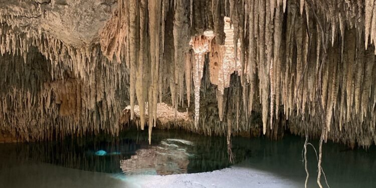 El paraíso se intoxica: 90% de los cenotes urbanos ya presenta contaminación