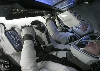 Astronautas del Crew-11 ya están de vuelta en la Tierra