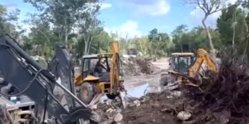 Denuncian irregularidades ambientales y falta de pago en parque turístico de Cozumel