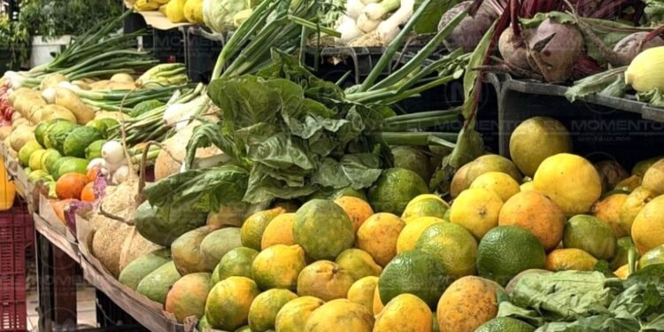 La canasta básica pesa más en la Península de Yucatán; es donde más subieron los precios