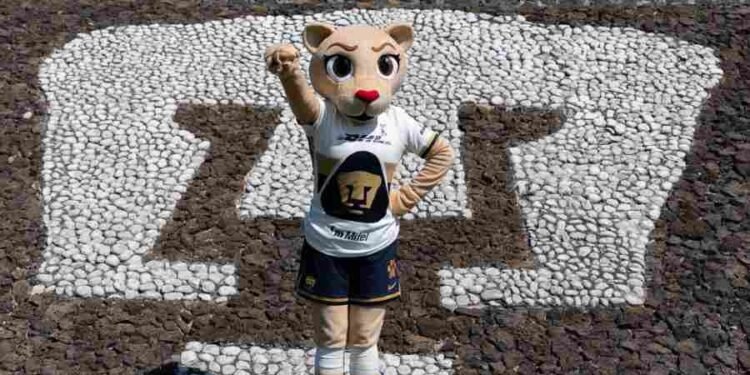 Goya, la nueva mascota de Pumas, debuta como un símbolo de igualdad y orgullo universitario