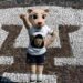 Goya, la nueva mascota de Pumas, debuta como un símbolo de igualdad y orgullo universitario