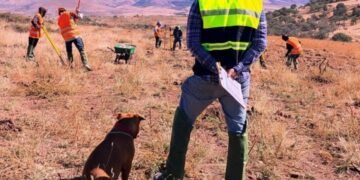 Con cuatro patas y mucha energía: Nila supervisa la carretera en equipo con la SICT Chihuahua