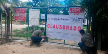 ¡Cero tolerancia! Profepa clausura cinco predios por tala y cambio ilegal de uso de suelo