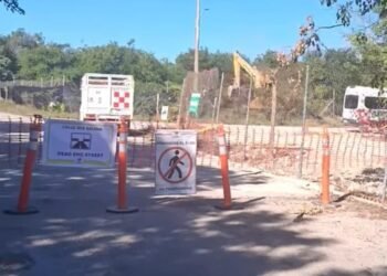 Por daños a manglar Royal Caribbean podría enfrentar multa de hasta 4 millones de pesos