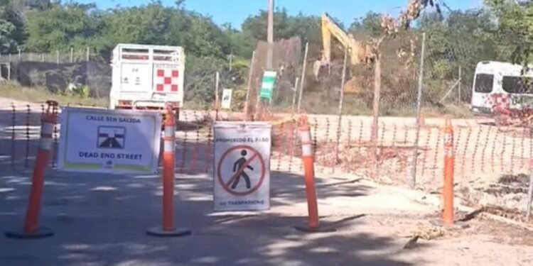 Por daños a manglar Royal Caribbean podría enfrentar multa de hasta 4 millones de pesos