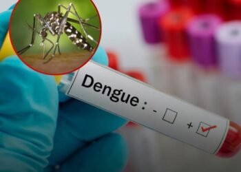 Quintana Roo duplica casos de dengue en 2026; suma 13 contagios