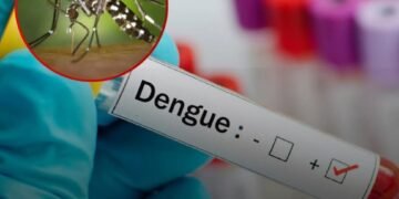 Quintana Roo duplica casos de dengue en 2026; suma 13 contagios