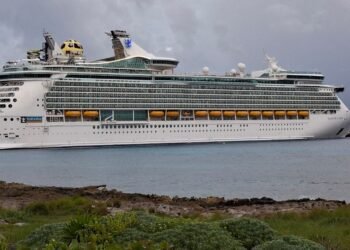 Greenpeace pide frenar autorización ambiental de “Perfect Day”