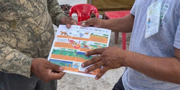 Llaman a resguardar mascotas tras ataque de jaguar a dos perros en Mahahual