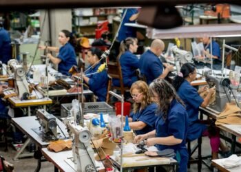 Inicia la STPS procedimiento contra 16 empresas por no cumplir la “Ley Silla”