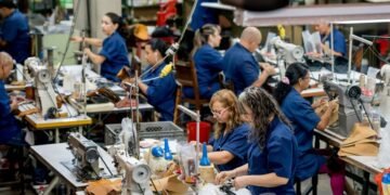 Inicia la STPS procedimiento contra 16 empresas por no cumplir la “Ley Silla”