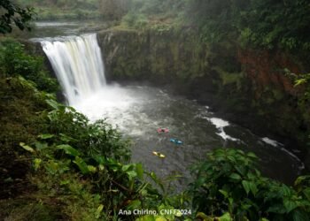 Bosques que dan bienestar: CONAFOR convoca a comunidades indígenas y ejidos