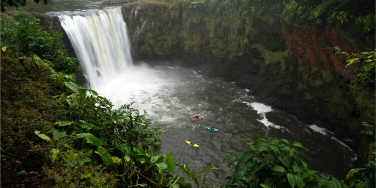 Bosques que dan bienestar: CONAFOR convoca a comunidades indígenas y ejidos