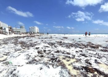 Surada genera puertos cerrados a la navegación en general en Cancún