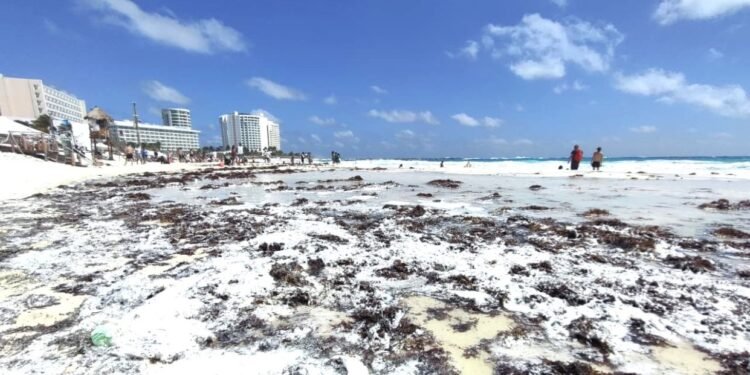 Surada genera puertos cerrados a la navegación en general en Cancún