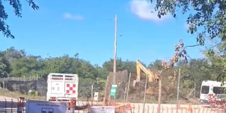 Profepa pone punto final: no hubo violación a clausura de Royal Caribbean en Mahahual