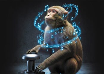 Macacos sorprenden a la ciencia al seguir el ritmo de la música