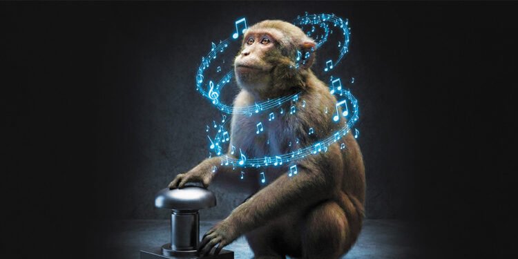 Macacos sorprenden a la ciencia al seguir el ritmo de la música