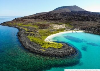 Protegen el “acuario del mundo”: cancelan permiso ambiental a complejo en BCS