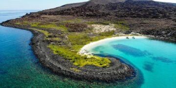 Protegen el “acuario del mundo”: cancelan permiso ambiental a complejo en BCS