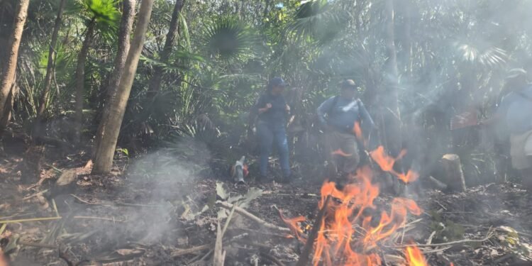 Quintana Roo inicia temporada de incendios con dos siniestros activos en Tulum, reporta la Conafor