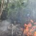 Quintana Roo inicia temporada de incendios con dos siniestros activos en Tulum, reporta la Conafor