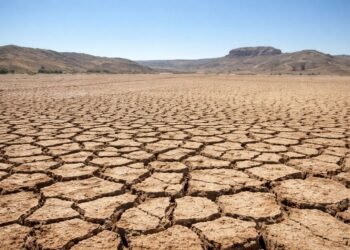 Organización Meteorológica Mundial alerta que el clima del planeta está descompensado