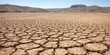 Organización Meteorológica Mundial alerta que el clima del planeta está descompensado