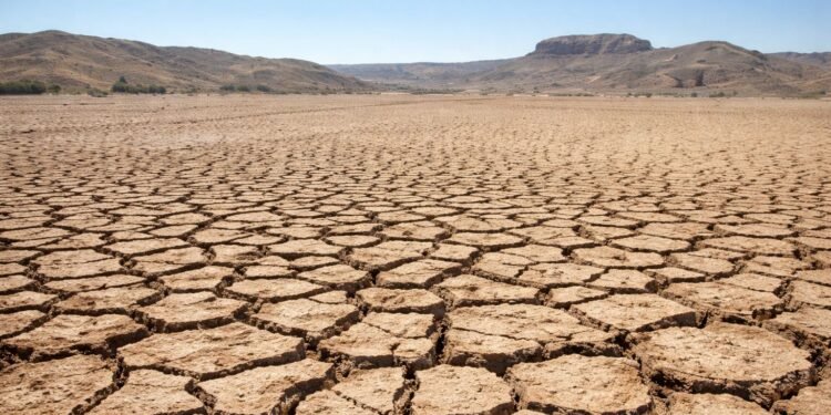 Organización Meteorológica Mundial alerta que el clima del planeta está descompensado