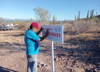 Detectan remoción de vegetación sin permiso en Loreto; Profepa ordena clausura inmediata