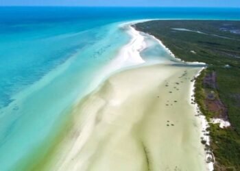Palo a “ejidatarios” que impugnaron Área Natural Protegida donde se encuentra Holbox