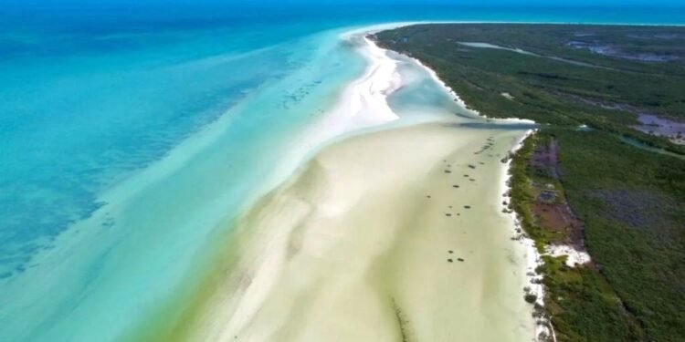 Palo a “ejidatarios” que impugnaron Área Natural Protegida donde se encuentra Holbox