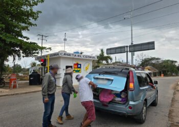 Operativo de Profepa contra tráfico de fauna deja saldo blanco en Quintana Roo