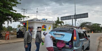 Operativo de Profepa contra tráfico de fauna deja saldo blanco en Quintana Roo