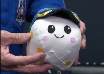 NASA presenta a Rise la mascota de su próxima misión lunar