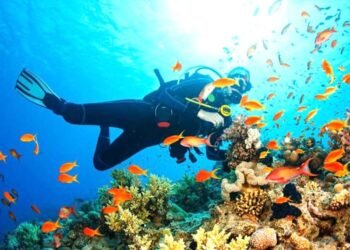 Conanp y náuticos proyectan nuevos arrecifes artificiales en Cancún e Isla Mujeres