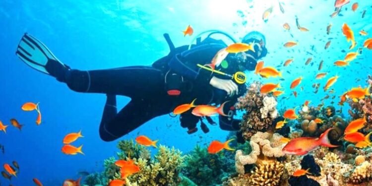 Conanp y náuticos proyectan nuevos arrecifes artificiales en Cancún e Isla Mujeres